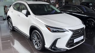 2024 White Lexus NX 250  Walkaround 4K [upl. by Stephana]