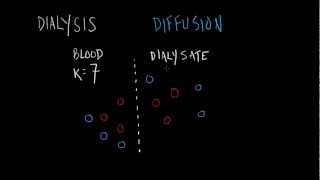 Dialysis Basics [upl. by Otcefrep]