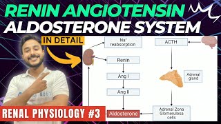 renin angiotensin aldosterone system renal physiology  renin pathway physiology  RAAS physiology [upl. by Koeninger]