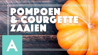 Pompoen en courgette zaaien  Grow Cook Eat 20 [upl. by Animsaj]