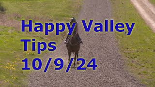 🏇Hong Kong Horse Racing Tips 1092024  Happy Valley [upl. by Alyar]