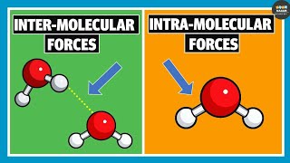 Intermolecular Forces and Intramolecular Forces  Chemistry [upl. by Rennie]