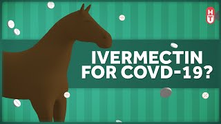 The Research on Ivermectin and Covid [upl. by Kimberlee]