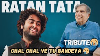 Chal Chal Ve Tu Bandeya  Dil Juunglee  Taapsee P  Arijit Singh  Cover Song  Ratan Tata [upl. by Yuri]