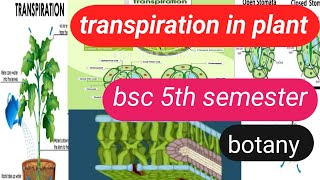 transpiration and its type bsc 5th semesterbotanytranspirationtype of transpiration [upl. by Niltak]