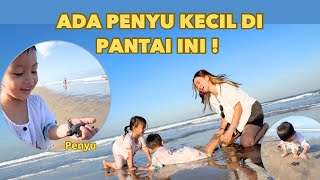 PANTAI PETITENGET SEMINYAK ADA PENYU LOH [upl. by Nauqe]