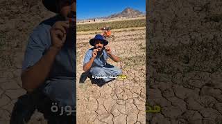 هربت الحراثة ونا اصور لكم 😎😁عبداللهمحمدالتركي طيبالاتراكللعطور [upl. by Adyam]