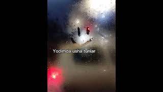 Yodimda usha tunlar Rauf Faik uzbek [upl. by Amoeji]