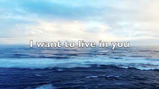 Do Justly by Bob Fitts Lyric Video [upl. by Margaux]