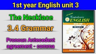 Pronoun Antecedent Agreement Comma  34 Grammar  1st year English new book [upl. by Almund624]