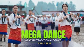 MEGA DANCE  DSGJC 2024 [upl. by Ashley345]