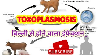 Toxoplasma gondii life cycle pathogenesis lab diagnosis amp treatment in hindi [upl. by Pacifica413]