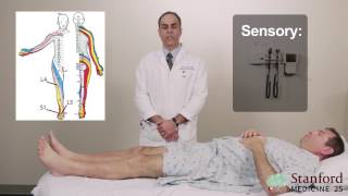 Approach to Low Back Pain Physical Exam  Stanford Medicine 25 [upl. by Ludvig]