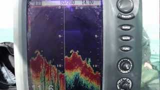 Airmar TM270W 50 KHz vs 200 KHz on Furuno 585 sounder [upl. by Assirrec]