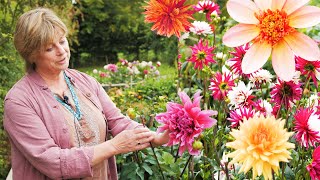 Sarah Raven  How to grow dahlias  Good Housekeeping UK [upl. by Rudolf]