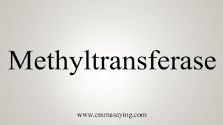 How To Say Methyltransferase [upl. by Anderegg]