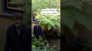 Nigel Slater’s hidden courtyard garden filled with ferns and green plants garden [upl. by Newmann]