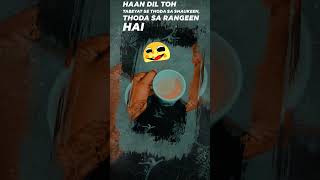 Lyrical quotPyaar Do Pyar Loquot Video  Thank You  Akshay Kumar Bobby Deol  Mika Singhsubscribe [upl. by Micco541]