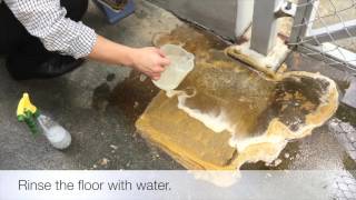 How to Remove and Prevent Algae from Growing  East Chem Singapore Stone Care Specialist [upl. by Thilda]