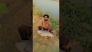 chenab river automobile fishing 🎣 got a five kg murakh [upl. by Assennev344]