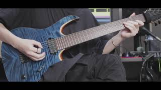 Ripal  Diffused Reflection【guitar playthrough】 [upl. by Idola486]