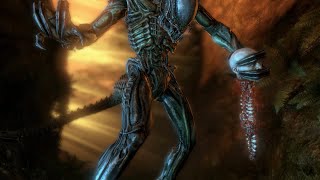 Aliens vs Predator  Aparece el Predalien [upl. by Aiselad]