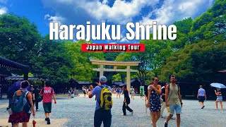 Harajuku Meiji jingu shrineWalking Tour 4K JAPAN Temple in the Tokyo metropolis [upl. by Meras331]