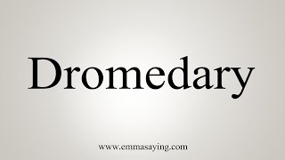 How To Say Dromedary [upl. by Eelrebmyk]