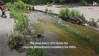 Kinnickinnic River in Milwaukee rebounds after restoration efforts [upl. by Keith911]