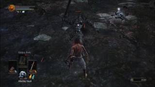 Dark Souls 3 PVE Parrying  Darkwraith [upl. by Glennie]