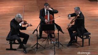 Nuovo Trio Italiano dArchi  Boccherini Trio in re maggiore op 14 n 4 G 98 [upl. by Binnings502]