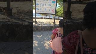 miyajima itsukushima shrine japantravel divine beauty [upl. by Popper]