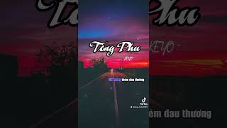 Tòng Phu  Karaoke Tone Nam [upl. by Hnahym]