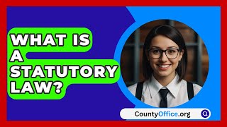 What Is a Statutory Law  CountyOfficeorg [upl. by Eiramadnil]