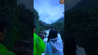 monson waterfall keralaforest shots [upl. by Notsirk]