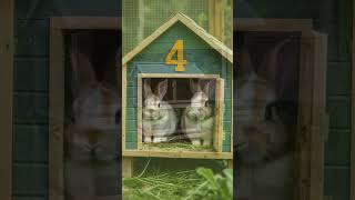 🐰🏠 Top 10 Rabbit amp Bunny Cages for Indoor amp Outdoor Use 🐰💡 rabbitsofinstagram smallpets [upl. by Hilar]