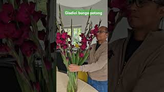 Bunga potong Gladiol s171 [upl. by Karlise]