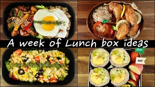 🍱 A week of Lunch BoxDosirak🍳 for my husband 🙋🏻‍♂️ lunch box ideas [upl. by Eseuqram]