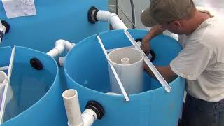 Big Aquaponic Greenhouse  Part 14  Mineralisation Tank [upl. by Nauqed]