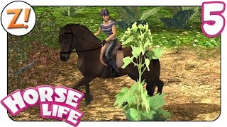 Horse Life  Freunde für immer Ärger mit Melanie 5  Lets Play ★ GERMANDEUTSCH [upl. by Notsuoh]