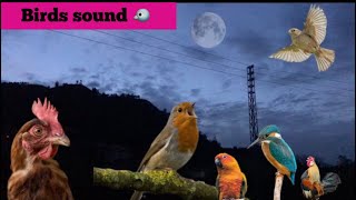 Morning sounds in villages  relaxing Sounds 🎶  Morning Birds Singing [upl. by Adnilre]