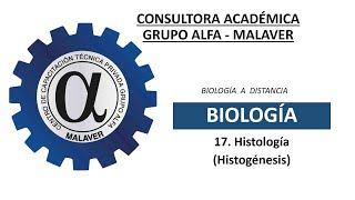 17 Histología Histogénesis [upl. by Petie]