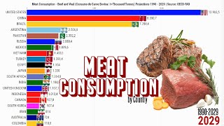 Os Maiores Consumidores de Carne Bovina do Mundo [upl. by Ailegave437]