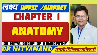 Anatomy  Osteology in hindi [upl. by Horsey358]