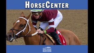 Gun Runner and Untapable top picks on HorseCenter [upl. by Alletneuq]