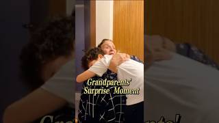 Grandparents Surprise Moment grandpa surprise moment emotional [upl. by Malena107]