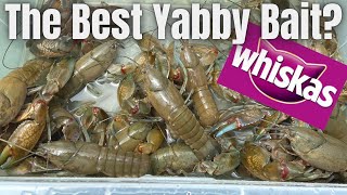 Yabbying  Is this the best yabby bait [upl. by Gnuhc]