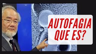 AUTOFAGIA BENEFICIOS Y CÓMO ACTIVARLA autofagia ayuno premionobel [upl. by Farrel]