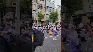 【丸若連】Maruwaka ren parading in the Awa Odori festival of Horikiri Tokyo 20240609 2024 堀切かつしか菖蒲まつり [upl. by Pincince704]