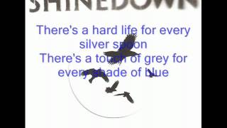 Shinedown  What A Shame lyrics [upl. by Ajat79]